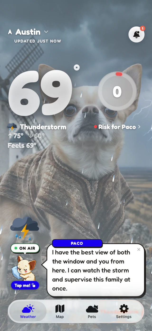 WeatherPets home screen: Paco the chihuahua in a knit sweater as a thunderstorm rolls in at 69 degrees, safety score zero