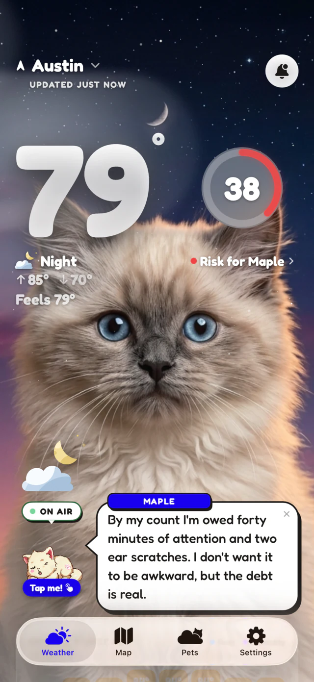 WeatherPets home screen: Maple the ragdoll cat on a muggy 79 degree night, flagged as a risk with a score of 38
