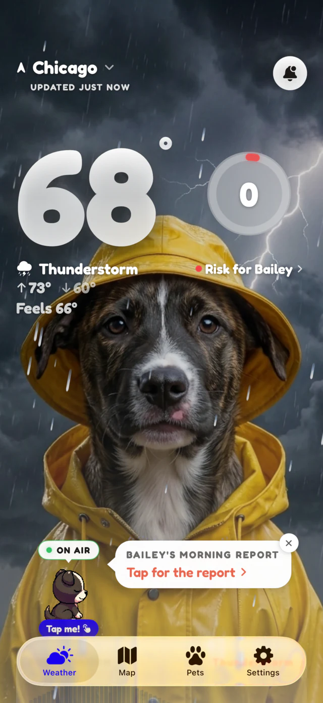Thunderstorm scene: Bailey as lightning breaks overhead at 68 degrees