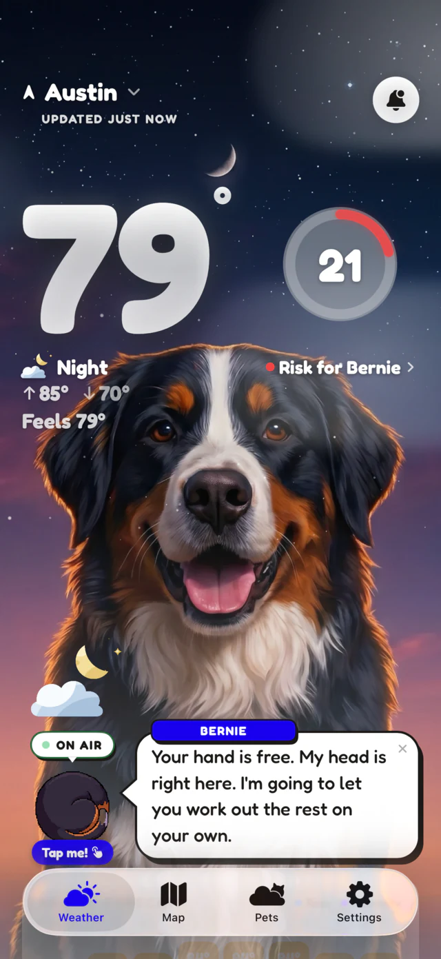 Night scene: Bernie the Bernese mountain dog on a muggy 79 degree night
