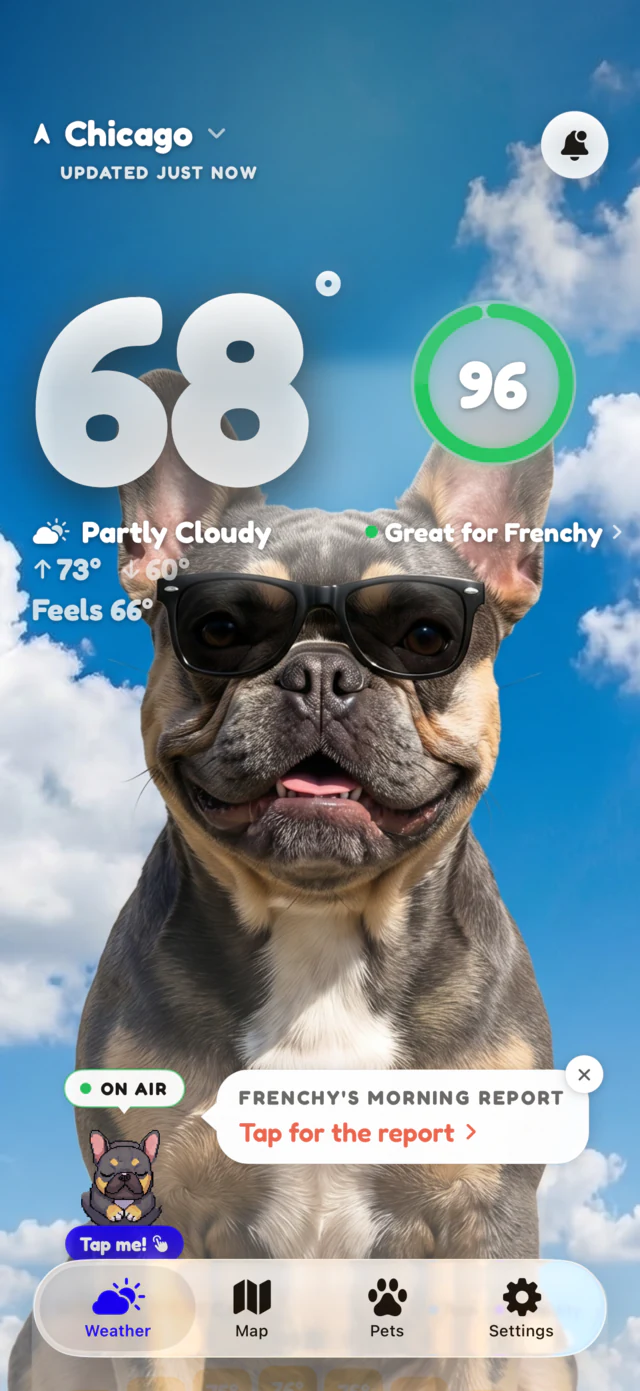 Partly cloudy scene: Frenchy the French bulldog under broken cloud at 68 degrees