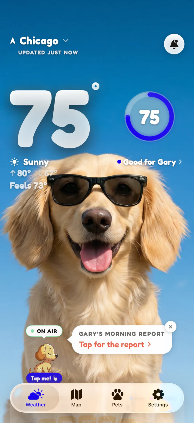 Sunny scene: Gary the dachshund in sunglasses on a clear 75 degree day
