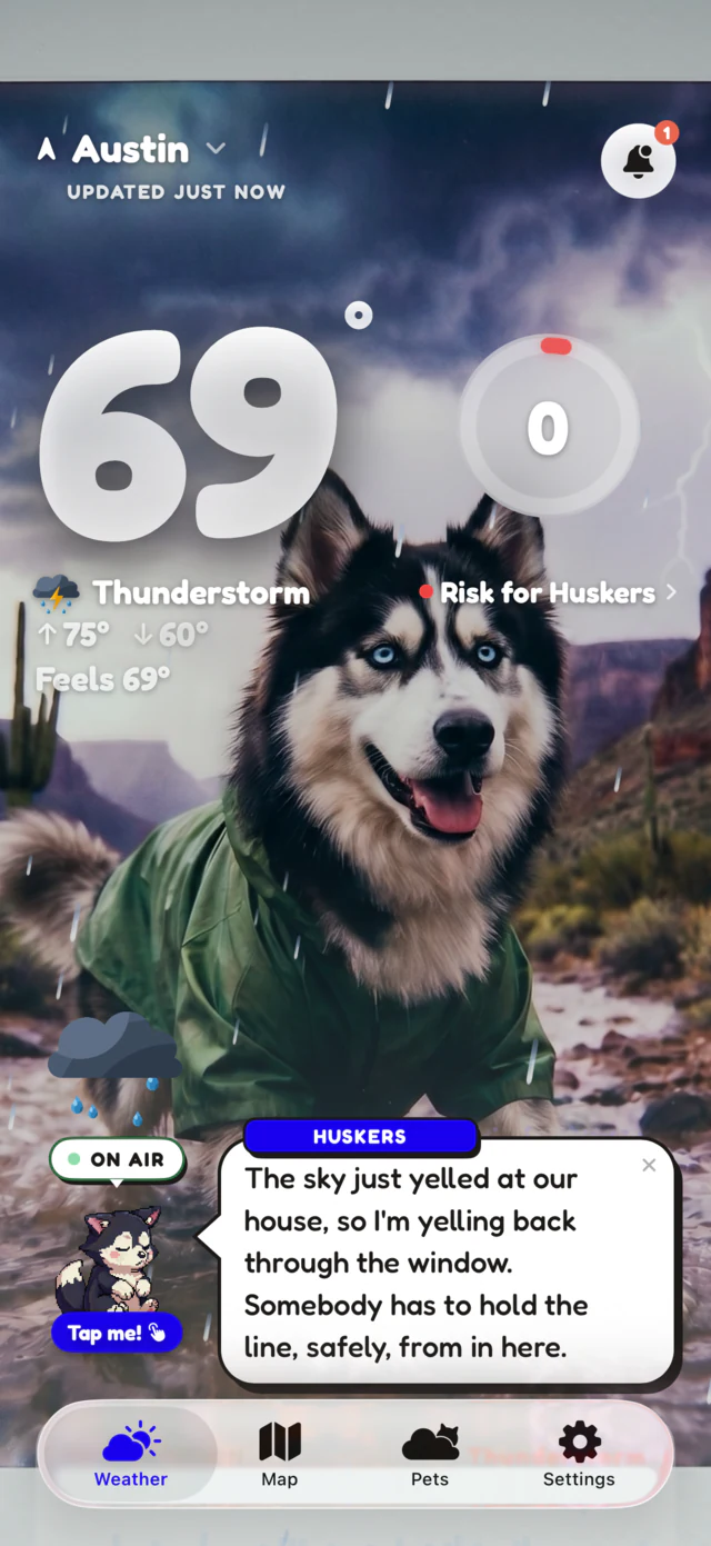 Thunderstorm scene: Huskers the husky in a raincoat as lightning breaks, safety score zero