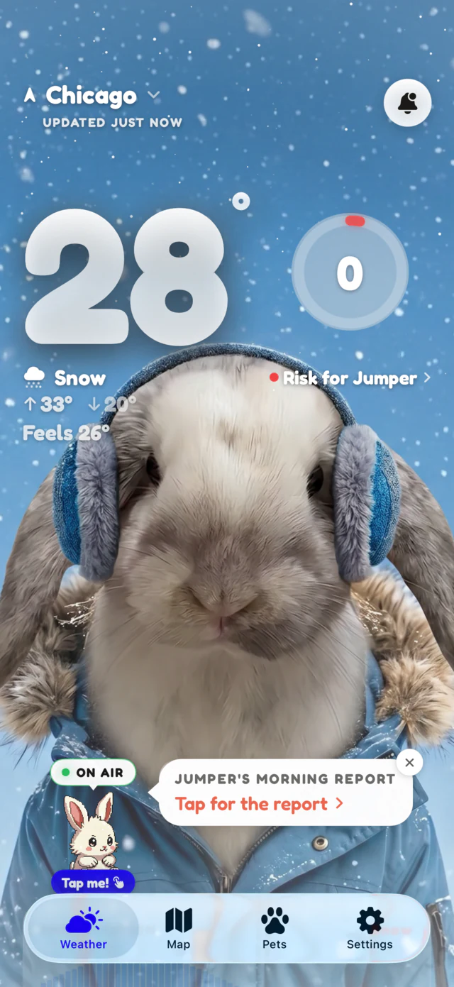 Snow scene: Jumper the rabbit in the snow at 28 degrees