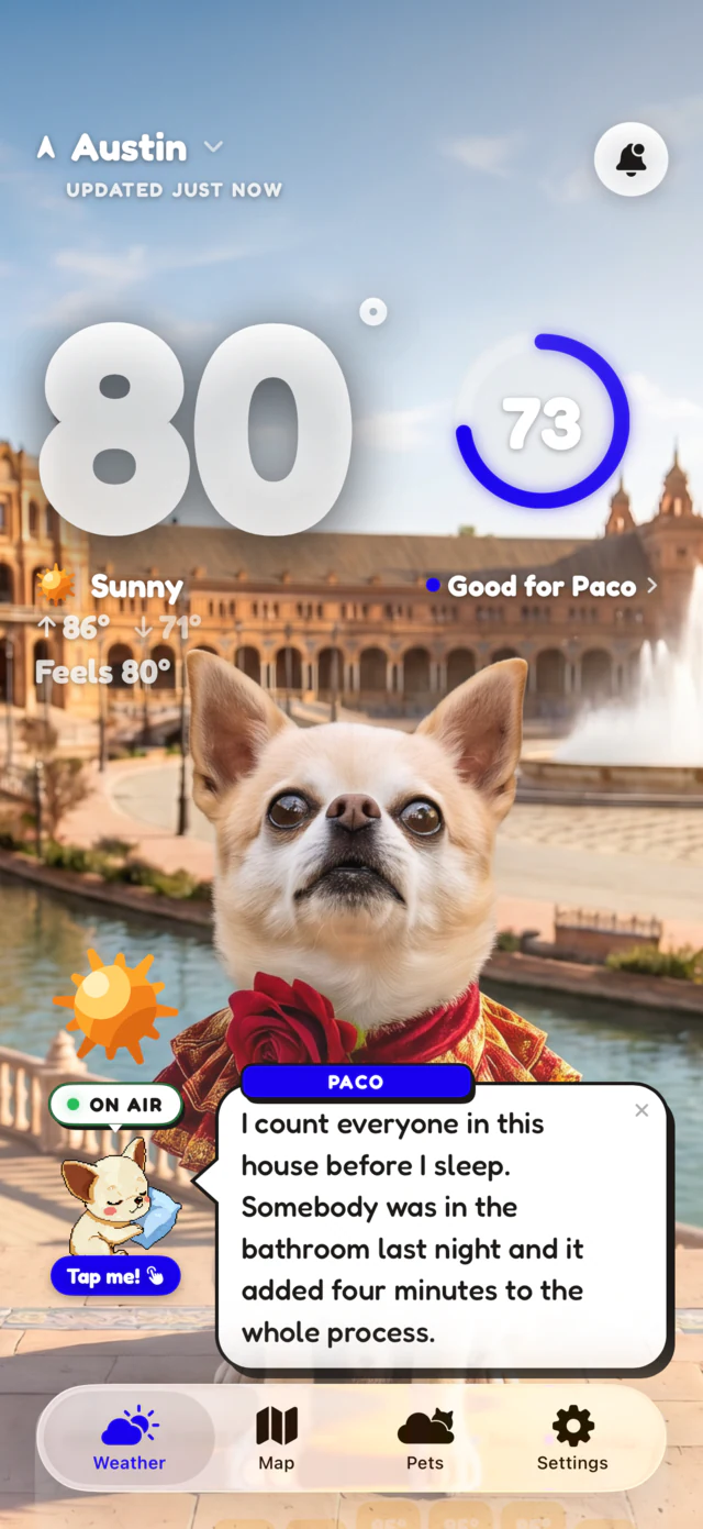 Sunny scene: Paco the chihuahua in a red scarf on a Spanish plaza at 80 degrees