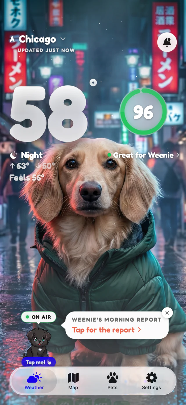 Night scene: Weenie the dachshund under a clear night sky at 58 degrees