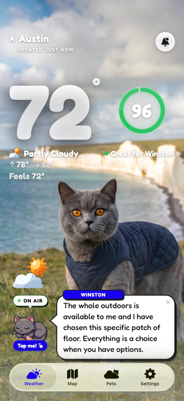 Partly cloudy scene: Winston the cat in a quilted coat on the white cliffs at 72 degrees