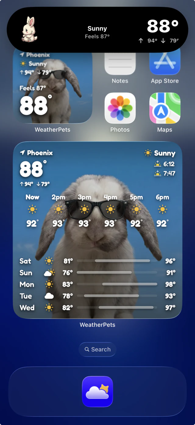 iPhone home screen with WeatherPets widgets showing Jumper the rabbit in sunglasses, and a Live Activity in the Dynamic Island