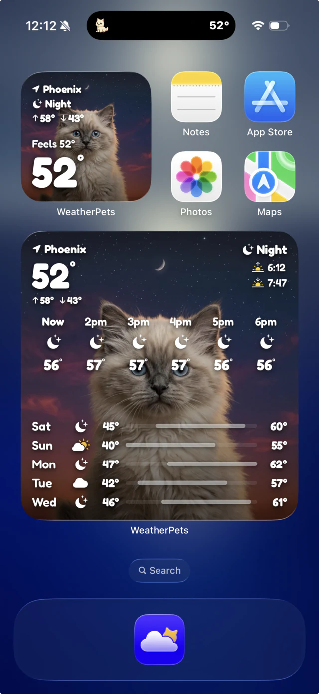 iPhone home screen with WeatherPets widgets showing Maple the cat at night, with the Live Activity compact in the Dynamic Island
