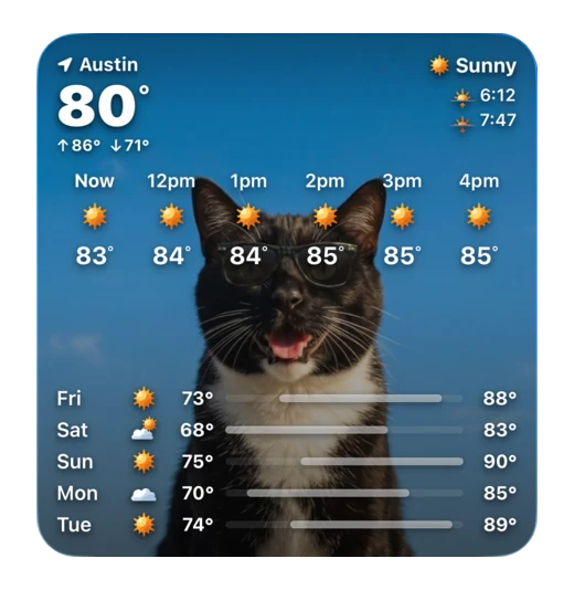A large WeatherPets home screen widget showing Austin at 80 degrees with an hourly row, sunrise and sunset, and a five day forecast behind a cat in sunglasses