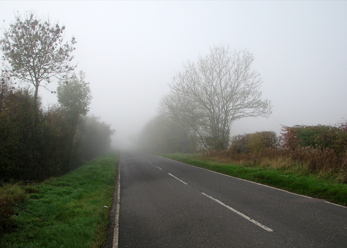 A rural road disappearing into thick autumn fog, with the verge and hedges visible but nothing beyond about fifty yards