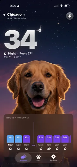 WeatherPets app in dark mode showing nighttime forecast with a pet weather scene