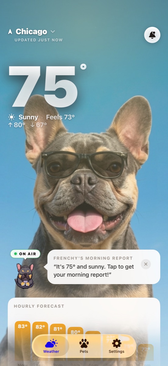 The WeatherPets home screen, with Frenchy the French bulldog delivering a sunny day forecast