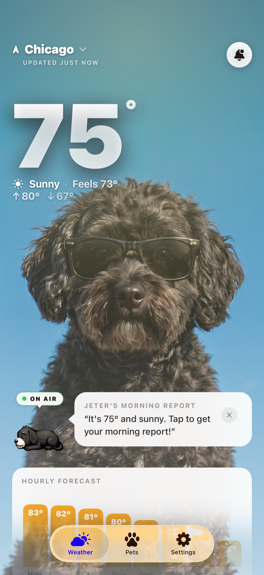 The WeatherPets home screen, with a pet delivering a sunny day forecast