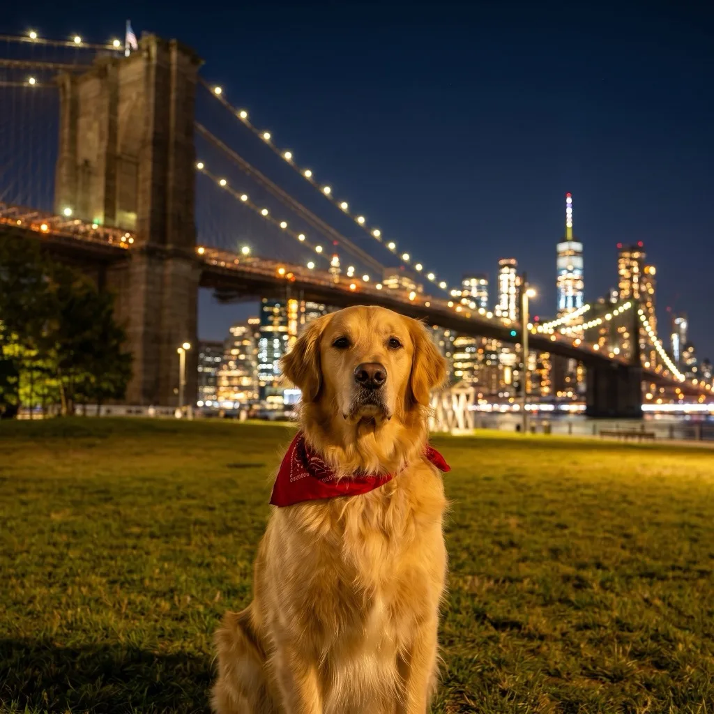 USA Traveler — Brooklyn waterfront pier at night facing the Manhattan skyline