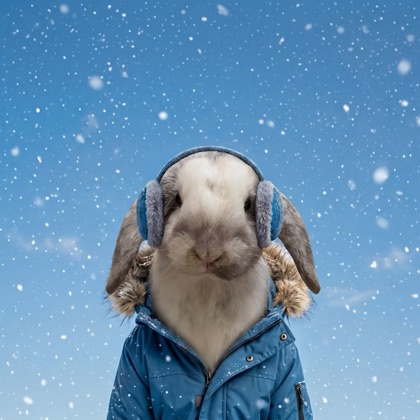 Jumper in a snowy scene