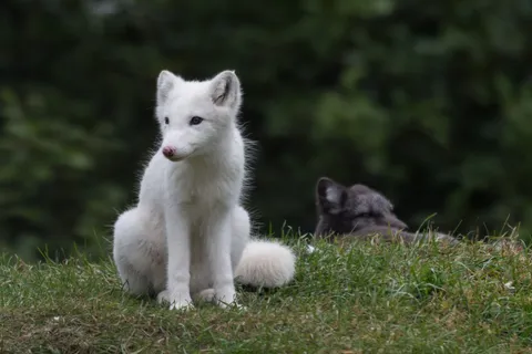Real photo of Yuki
